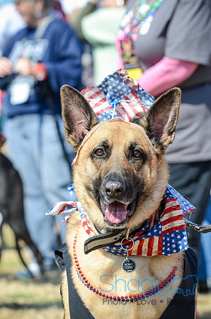 Krewe of Barkus 2012-58