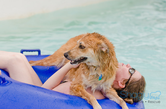 Wags and Waves 2011-118