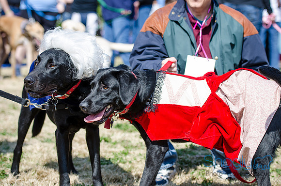 Krewe of Barkus 2012-95