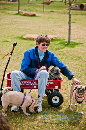 Pug Love Fun Run-236