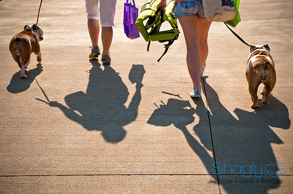 Wags and Waves-21