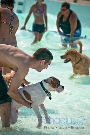 Wags and Waves-153