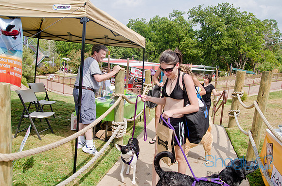 Wags and Waves 2011-385
