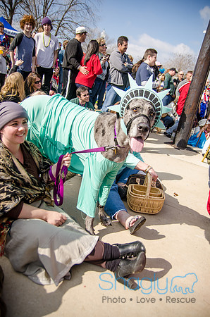 Krewe of Barkus 2012-305