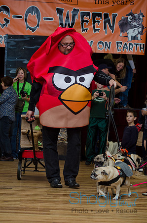 PugOween-211
