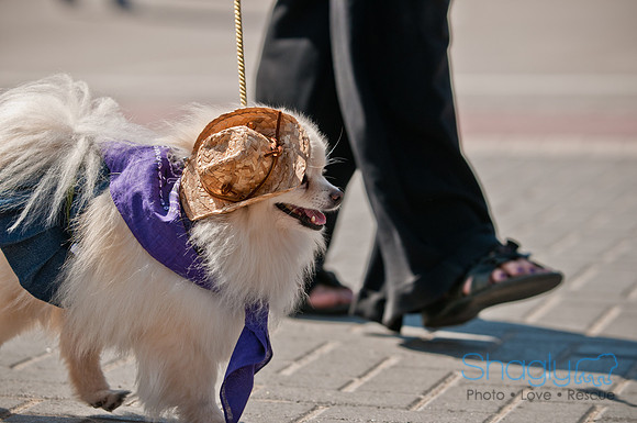 Krewe of Barkus 2011-83