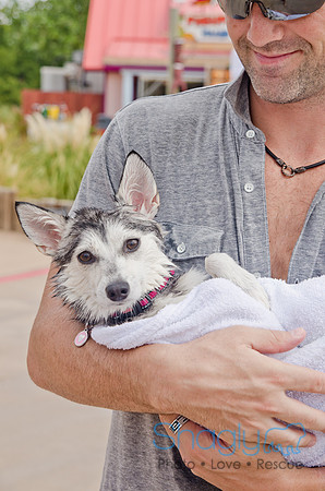 Wags and Waves 2011-382