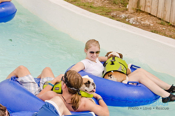 Wags and Waves 2011-95