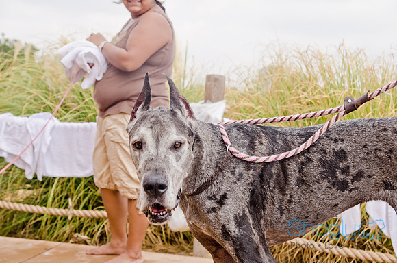 Wags and Waves 2011-334
