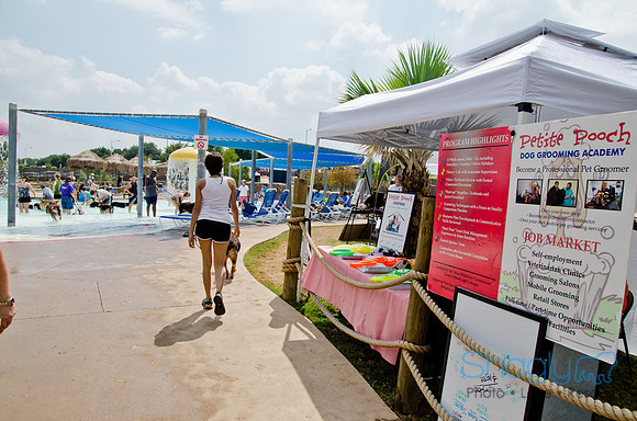 Wags and Waves 2011-202