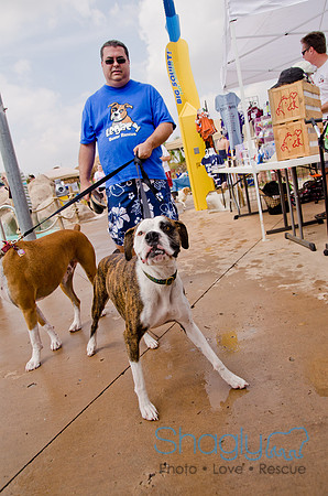 Wags and Waves 2011-239