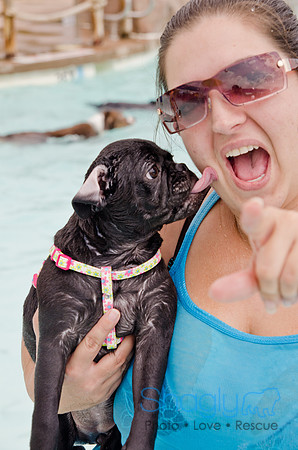 Wags and Waves 2011-207