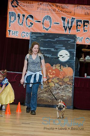 PugOween-160
