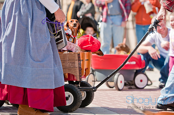 Krewe of Barkus 2011-73