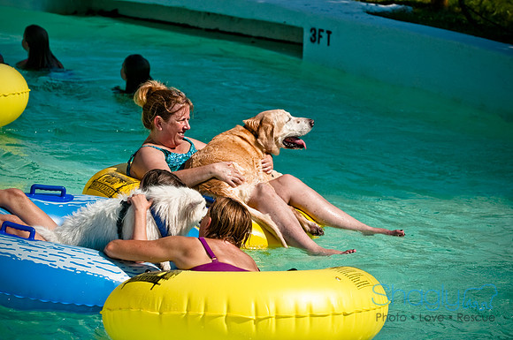 Wags and Waves-52