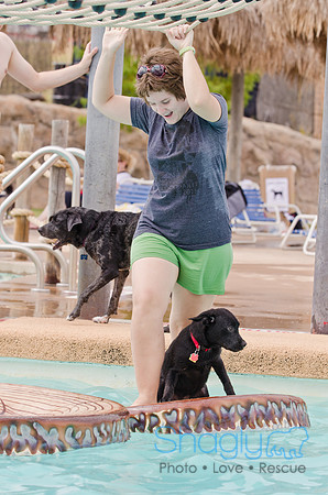 Wags and Waves 2011-171