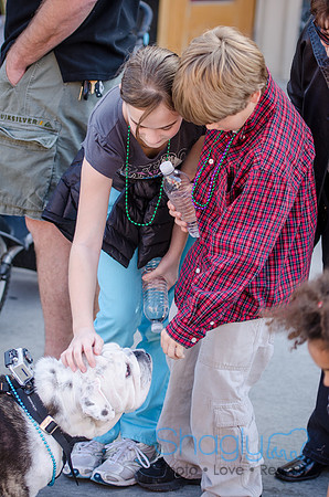 Krewe of Barkus 2012-284