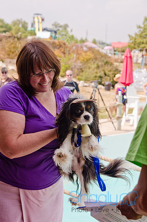 Wags and Waves 2011-394