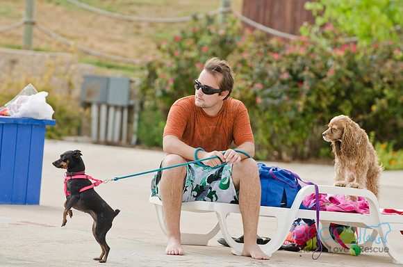 Wags and Waves 2011-503