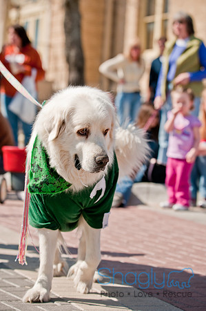 Krewe of Barkus 2011-127