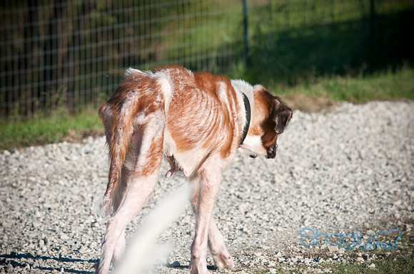 St.Clouds Rescue-0426
