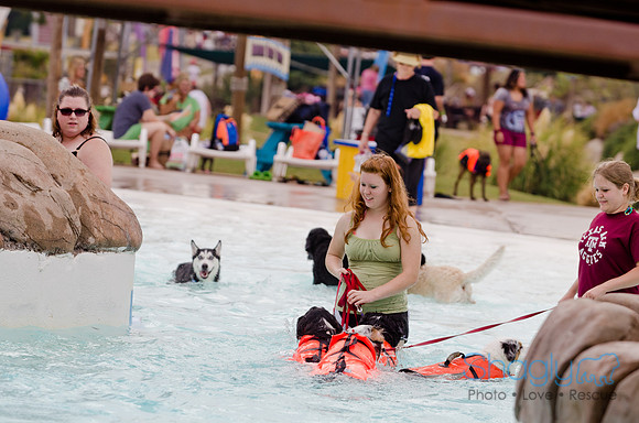 Wags and Waves 2011-102