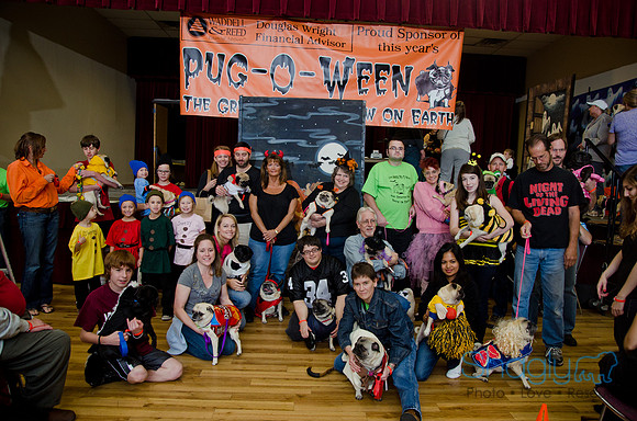 PugOween-150
