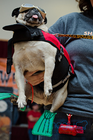 PugOween-184