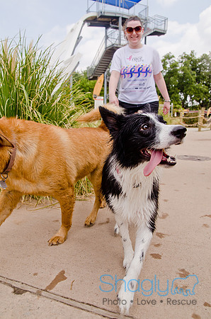 Wags and Waves 2011-297