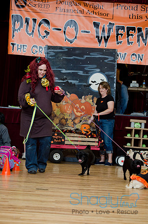 PugOween-225