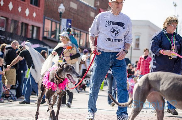Krewe of Barkus 2012-188