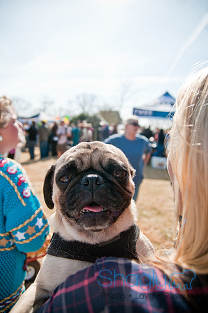 Krewe of Barkus 2011-163