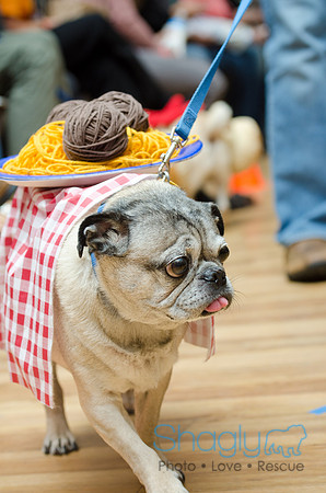 PugOween-156