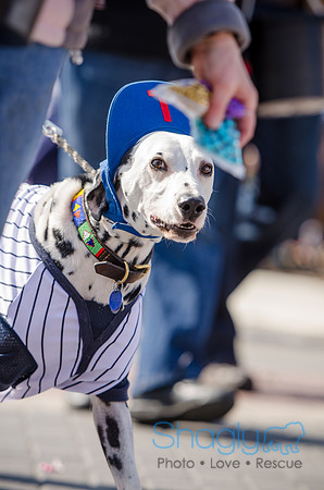 Krewe of Barkus 2012-194