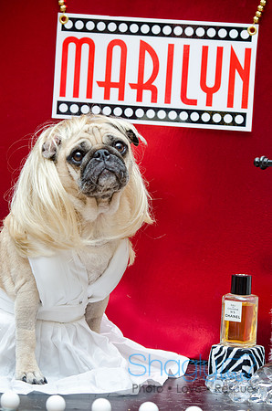 PugOween-96