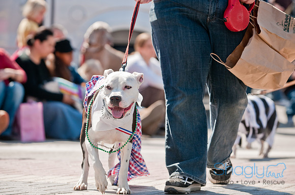 Krewe of Barkus 2011-89