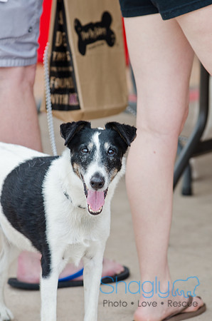 Wags and Waves 2011-59