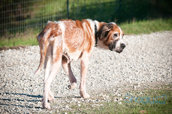 St.Clouds Rescue-0427