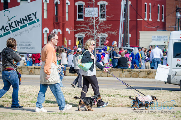 Krewe of Barkus 2012-157