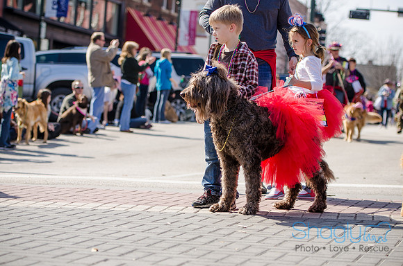 Krewe of Barkus 2012-180
