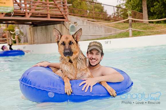 Wags and Waves 2011-323