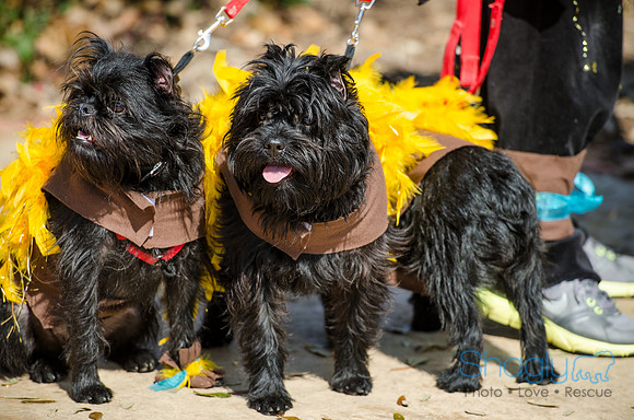 Krewe of Barkus 2012-118