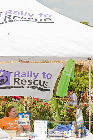 Wags and Waves 2011-447