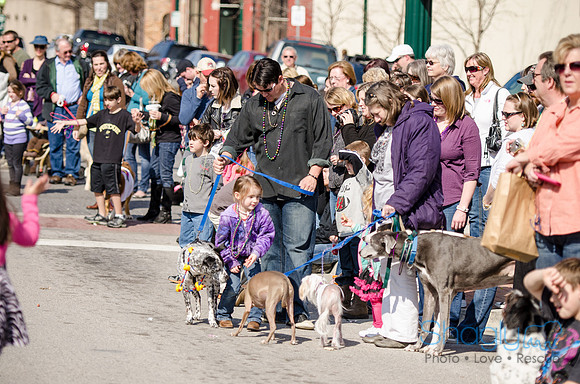 Krewe of Barkus 2012-272