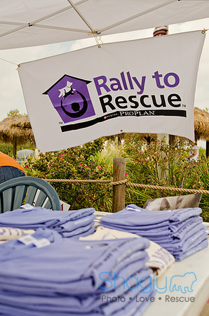 Wags and Waves 2011-188