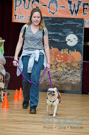 PugOween-109