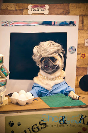 PugOWeen-3681