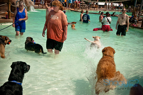 Wags and Waves-491