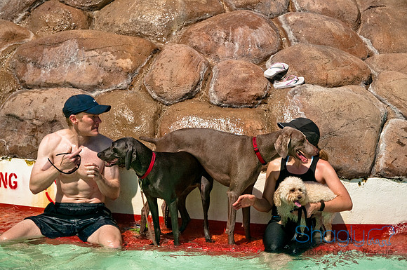 Wags and Waves-262
