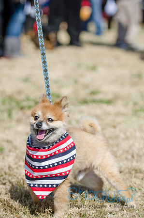 Krewe of Barkus 2012-103